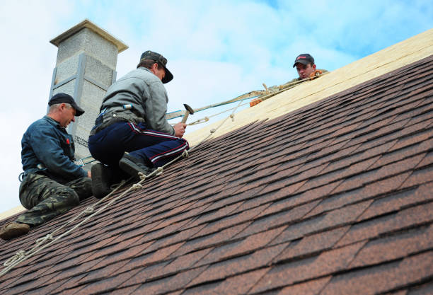 Gutter Installation and Roofing in South Lockport, NY